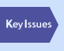 Key Issues