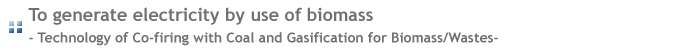 To generate electricity by use of biomass 