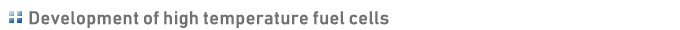 Development of Molten Carbonate Fuel cells