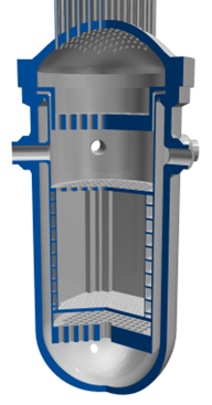 Pressure vessel in a PWR