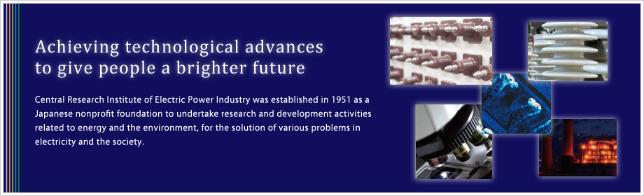 Central Research Institute of Electric Power Industry