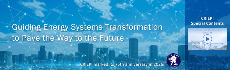 Central Research Institute of Electric Power Industry