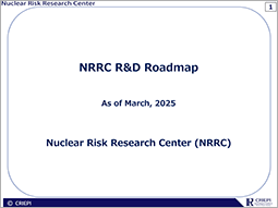 NRRC R&D Roadmap