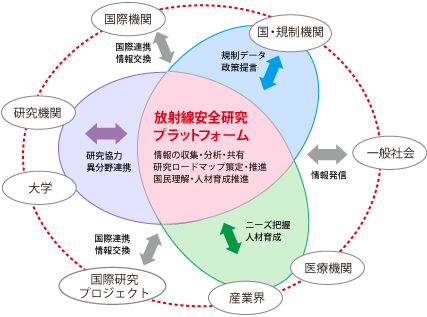 研究プラットフォームを通じた研究推進と情報発信